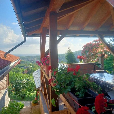 Apartment Noletov Vidikovac فردنيك المظهر الخارجي الصورة