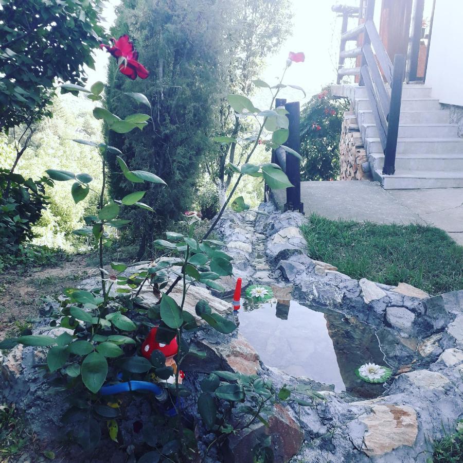 Apartment Noletov Vidikovac فردنيك المظهر الخارجي الصورة