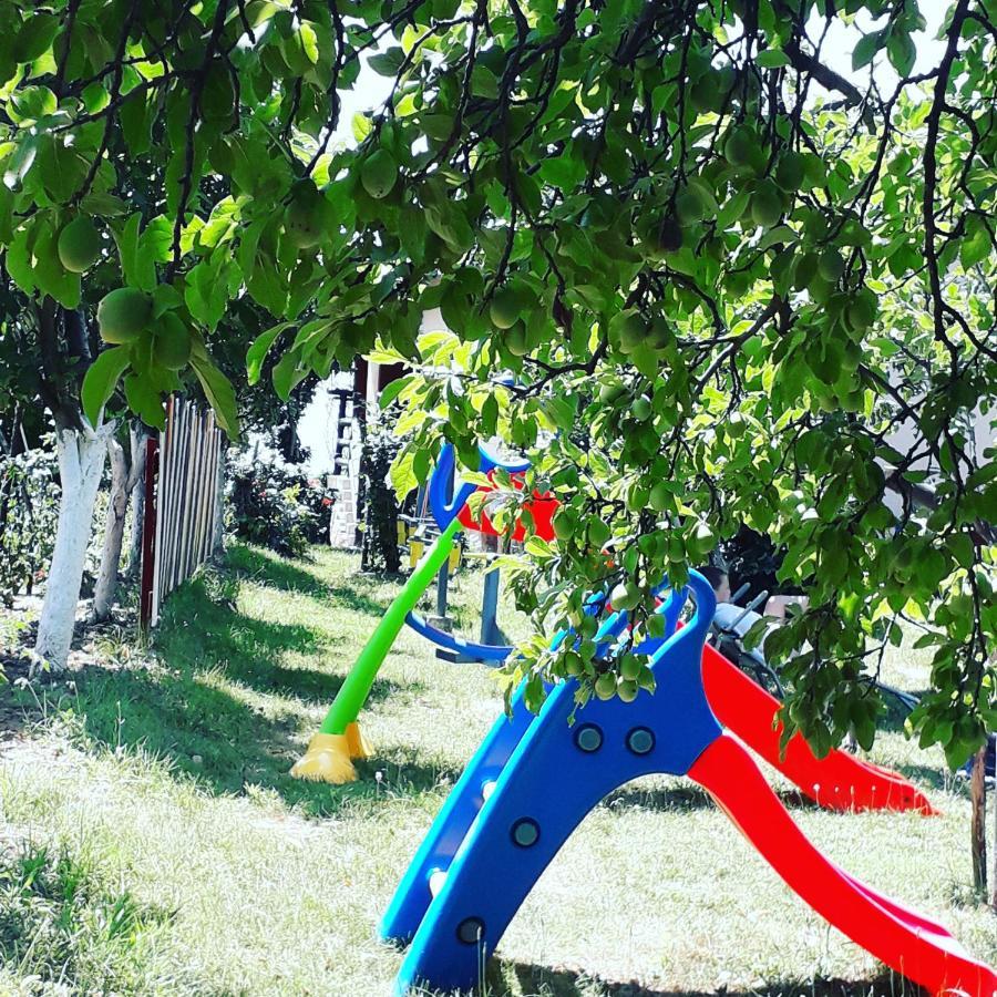 Apartment Noletov Vidikovac فردنيك المظهر الخارجي الصورة