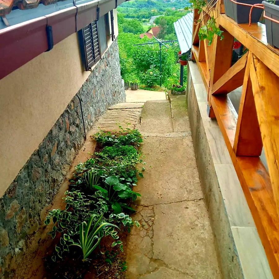 Apartment Noletov Vidikovac فردنيك المظهر الخارجي الصورة