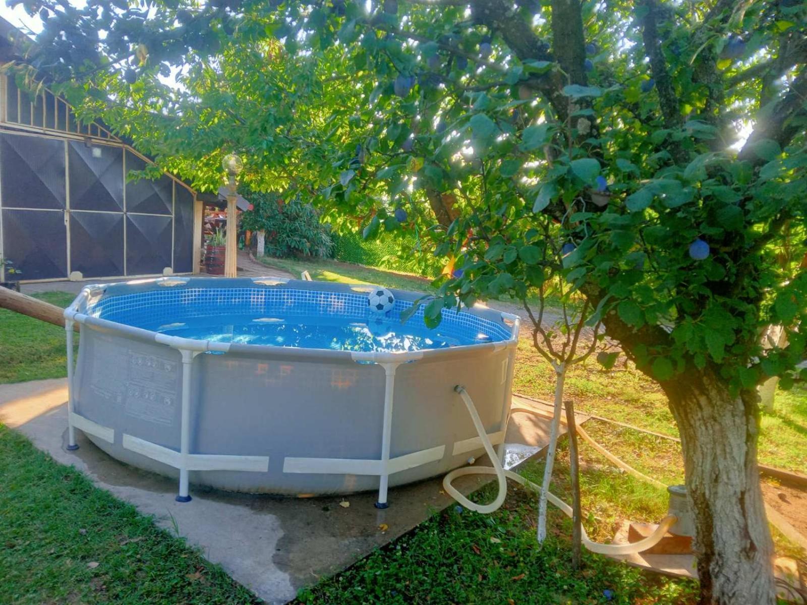Apartment Noletov Vidikovac فردنيك المظهر الخارجي الصورة